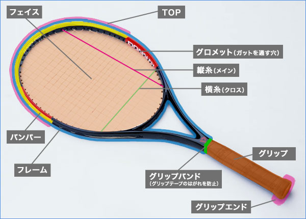 上達スピードを変えるテニスラケットとは コスモテニスカレッヂ テニス好きが集まる大会やスクールを東京 埼玉 千葉にて運営